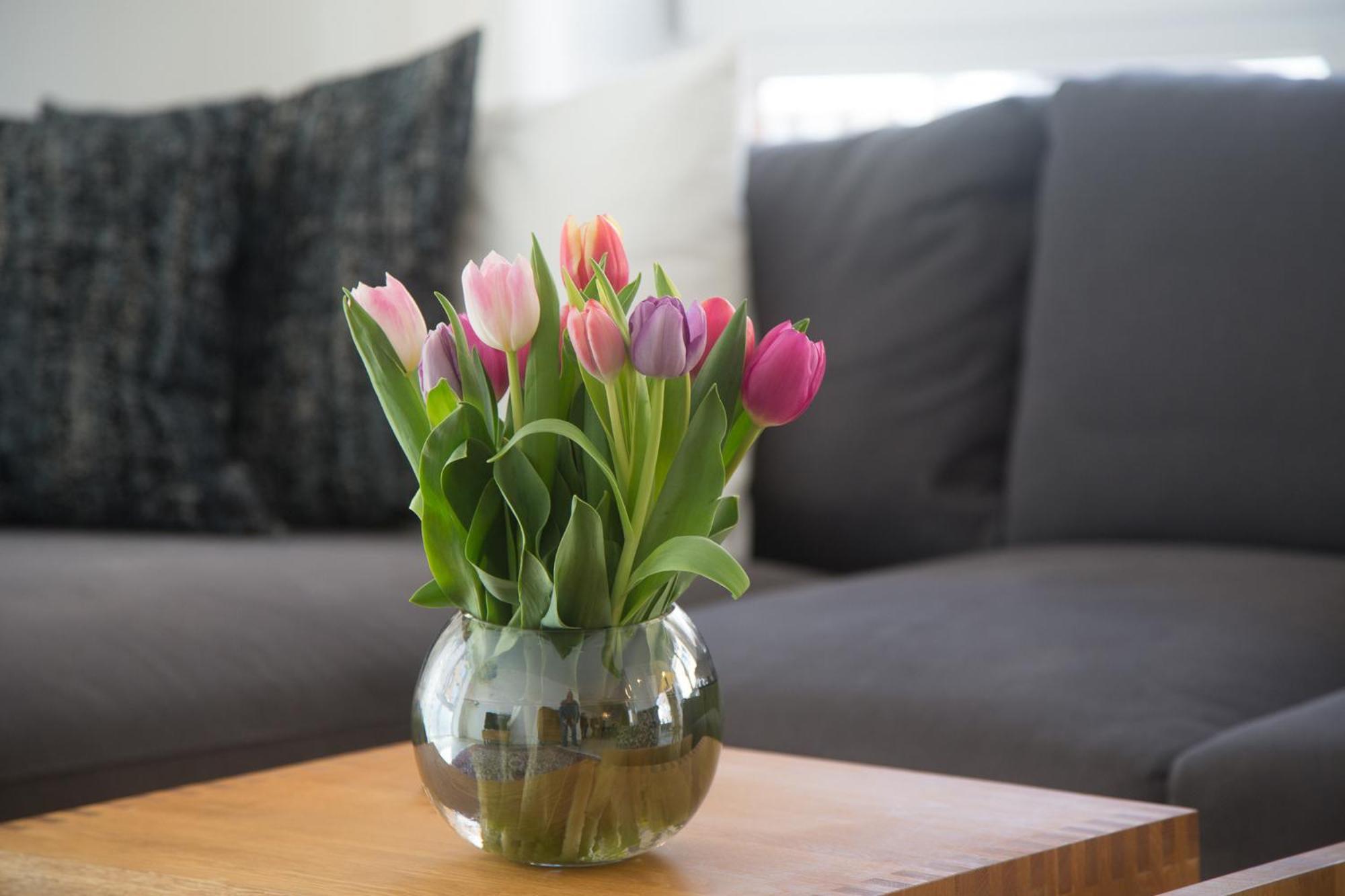 Goldsprotte Apartment Eckernfoerde Luaran gambar